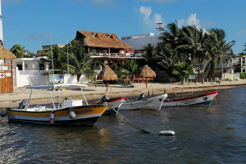 Modern 1 Bedroom Suite By Beach Great Location! Puerto Morelos 0*,  Μεξικό